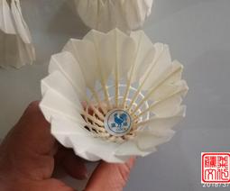 用12個習慣祝福自己：養成免疫力．學習力．判斷力 歷史價格詳細信息