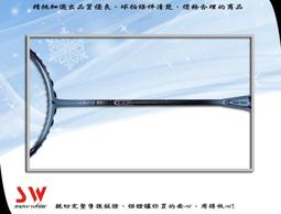 [小言(羽球)拍賣市集]YangYang NANO TI 12 羽球拍 含線 歷史價格詳細信息