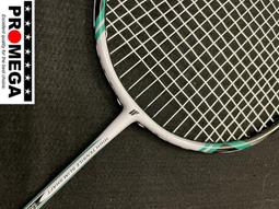 羽毛球拍.碳纖合金一體拍羽毛球拍2支裝成人兒童進攻型雙 羽拍單全耐打裝 歷史價格詳細信息