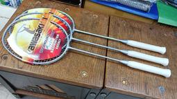 Kawasaki KBD619 全碳纖維超輕量比賽級羽球拍(銀/綠) 歷史價格詳細信息