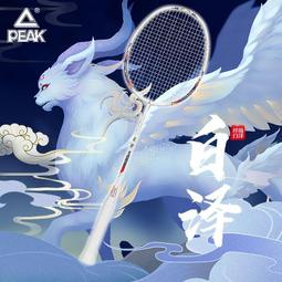 羽毛球自學視頻教程羽毛球零基礎優盤十幾位教練李宇軒陳金課程 歷史價格詳細信息