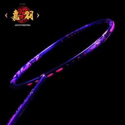 羽球拍 羽毛球拍 嘉羽笑傲 全碳素纖維羽毛球拍 單拍 超輕羽球拍 專業 比賽 學生 成人 耐打 套裝PPQ2 歷史價格詳細信息
