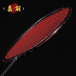 羽球拍 羽毛球拍 嘉羽笑傲 全碳素纖維羽毛球拍 單拍 超輕羽球拍 專業 比賽 學生 成人 耐打 套裝PPQ2 歷史價格詳細信息