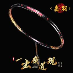 羽球拍 羽毛球拍 嘉羽笑傲 全碳素纖維羽毛球拍 單拍 超輕羽球拍 專業 比賽 學生 成人 耐打 套裝PPQ2 歷史價格詳細信息