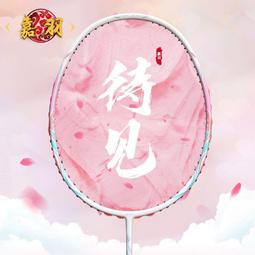 羽球拍 羽毛球拍 嘉羽笑傲 全碳素纖維羽毛球拍 單拍 超輕羽球拍 專業 比賽 學生 成人 耐打 套裝PPQ2 歷史價格詳細信息