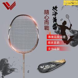 成功 鋁碳一體強化型羽拍(附全拍袋) 羽球拍 羽球 運動用品 <僅宅配> S2151 歷史價格詳細信息
