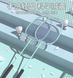 工廠直銷小拍框羽毛球拍單拍小拍靣甜區訓練拍 全碳素迷你拍 馳勝迪羽拍 歷史價格詳細信息
