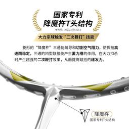 工廠直銷VS威臣劍靈7500全碳素碳纖維訓練比賽專業男女生超輕進攻羽毛球拍 歷史價格詳細信息