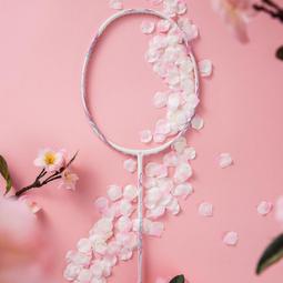 【好康】繽果輪滑寶獅萊小惡魔軸承輪滑鞋軸承銀蓋培林evo溜冰鞋twinc 歷史價格詳細信息