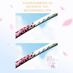 kawasaki桌拍KJ-101正拍附2顆球【愛買】 歷史價格詳細信息