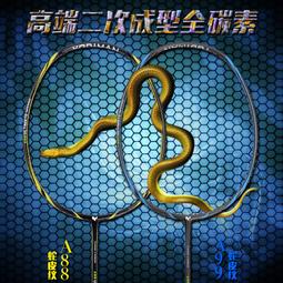 高端賽用羽毛球拍成人雙拍全碳素成人超輕耐用型碳纖維羽毛球套裝 歷史價格詳細信息