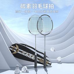 羽毛球拍雙拍套裝成人學生初學訓練超輕減震防滑拍 歷史價格詳細信息