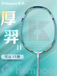 【好康】薰風勁鬆羽毛球拍禮盒版生日節日情人節禮物全碳素攻防兼備單拍 歷史價格詳細信息