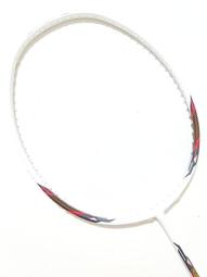 小克體育*babolat 網球拍握把布高彈力橡皮束帶*(買球拍加購的賣場運費合併) 歷史價格詳細信息