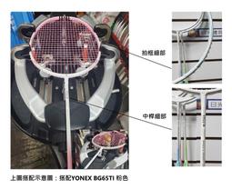 小清新2025夏季男童短袖襯杉套裝兒童純棉彩繪短褲塗鴉休閒三件套 歷史價格詳細信息