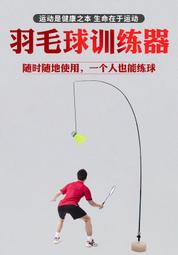 -網球訓練器單人打自練回彈神器初學者大學生羽毛球網球拍套裝『LOLA創意家居』 歷史價格詳細信息