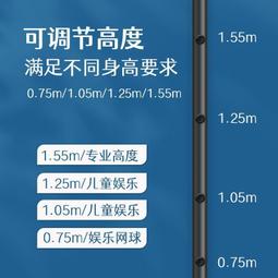 羽毛球網架可攜式家用戶外標準網架專業氣排球網柱簡易不鏽鋼支架 歷史價格詳細信息