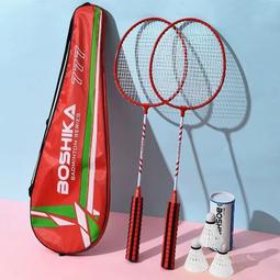 博卡羽毛球網架可攜式標準網家用室外網柱簡易摺疊移動攔網球架子 歷史價格詳細信息