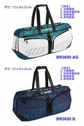 (台同運動活力館) 勝利 VICTOR 球員公仔 戴資穎 安東森 李梓嘉 阿萬 公仔【中國製】P0062 歷史價格詳細信息