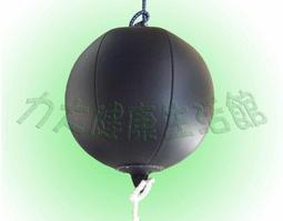 力大運動器材~吊環.螺絲吊環.壁虎吊環.可吊沙包.快速球.彈力繩 歷史價格詳細信息