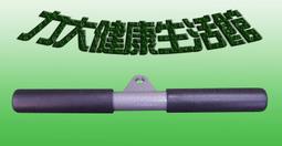 力大運動器材~吊環.螺絲吊環.壁虎吊環.可吊沙包.快速球.彈力繩 歷史價格詳細信息