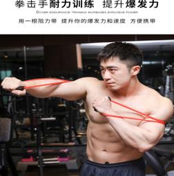 ~子甄彣璟~拉力帶 阻力圈 阻力帶 乳膠運動 彈力帶 拉筋帶 重量訓練 瑜伽 拉力圈 瑜珈帶 橡皮帶 翹臂圈 健身 運動 歷史價格詳細信息