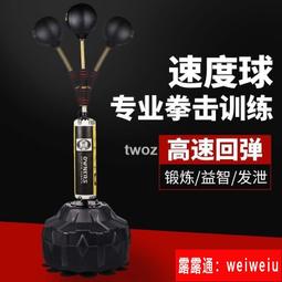 拳擊速度球訓練反應靶家用不倒翁發泄解壓球立式散打沙袋健身器材 歷史價格詳細信息