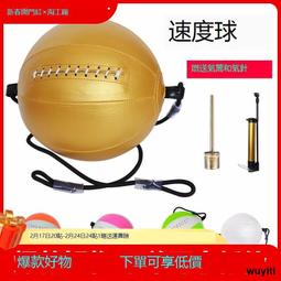 【優選國際購】拳擊反應球拳擊球反映靶搏擊成人男立式解壓擊打球家用彈力敏捷球 歷史價格詳細信息