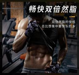 重量級拳王 穆罕默德 阿里 ST 戰袍 112三頭雕 可動人偶盒裝手辦 歷史價格詳細信息