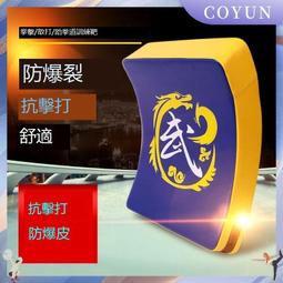 拳靶大號墻靶詠春寸拳李小龍沙包貼墻詠春沙袋拳擊拳靶墻壁鐵砂掌掛墻 歷史價格詳細信息