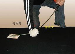 [勝虎堂]_有現貨-足利義輝拵え「三日月宗近」純正日本進口日本刀代購刀劍亂舞.代購日本模造刀 歷史價格詳細信息