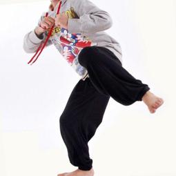 功夫架太極拳實用訓練   朱利堯 著 歷史價格詳細信息