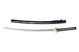 【碳刷到貨】FIXMAN 吸塵器碳刷 EC815 costco 好市多吸塵器碳刷 卡夢 一對2支價格 歷史價格詳細信息