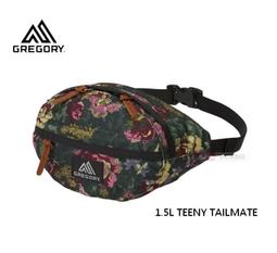 【GREGORY】TEENY TAILMATE 1.5L 超輕可調式腰包(輕巧好收納.可調整式腰帶) 119651-0511 花園油彩 歷史價格詳細信息