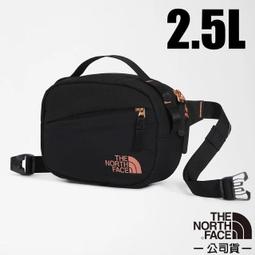 RV城市【The North Face】送》城市通勒多功能拖特包 18L 13吋筆電 防潑電腦背包 肩背手提袋_3RHV 歷史價格詳細信息