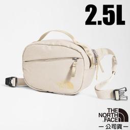 RV城市【The North Face】送》城市通勒多功能拖特包 18L 13吋筆電 防潑電腦背包 肩背手提袋_3RHV 歷史價格詳細信息
