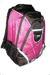 eastsport 藍色背包 購自美國 歷史價格詳細信息