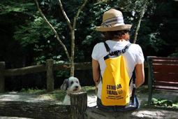 【日本 Stream Trail】Wahoo Long 長蛙袋 蛙鞋袋 拉鍊夾層 可放釣竿 防水袋 手提袋 後背袋 歷史價格詳細信息