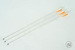 【缺貨中】【弓城弓箭館】SANLIDA GLOVE 拔箭手套 拔箭器 拔箭輔助器 箭 反曲弓 複合弓 現代弓 歷史價格詳細信息