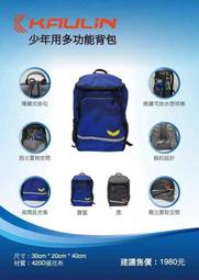 ☆現貨屋☆ KAULIN 高林 厚手止滑打擊手套 棒球打擊手套 KPG-801 黑紅 右手用 XL 原價430 歷史價格詳細信息