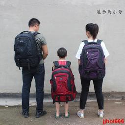 直髮旅行雙肩女新款2024電腦背男士大容量登山初高中大學生書 歷史價格詳細信息