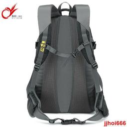 直髮戶外旅行男旅遊雙肩大容量戶外登山城市林地背囊防水登山沖頂 歷史價格詳細信息