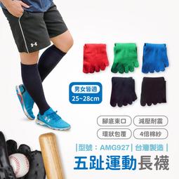 【FAV】五趾長襪【5雙】長筒襪/棒球襪/足球襪/厚底/五趾襪/排汗/五指襪/台灣製/型號:AMG927 歷史價格詳細信息