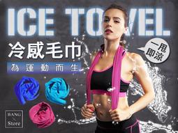 涼感運動毛巾 涼感巾 運動毛巾 冰涼巾 吸汗毛巾 夏季降溫好物 歷史價格詳細信息