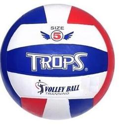 成功 40351 TROPS彩色排球 附球針、球網 歷史價格詳細信息