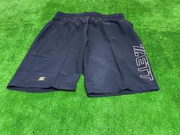 〈棒球世界〉最平價的全新DL206捕手手套 送手套袋 歷史價格詳細信息