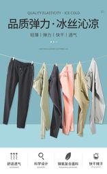 高品質3件(含絨量90%)男女 親子裝 高品質保證 超輕量羽絨背心輕羽絨 背心 歷史價格詳細信息