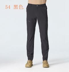 多件優惠【 荒野Wildland】男四彈貼袋耐磨潑水機能褲0B12310/休閒褲/快乾褲/登山褲/登山/露營/野雁 歷史價格詳細信息
