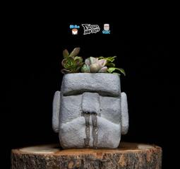 TTF  MOLLY KENNYSWORK  MOLLY 茉莉 小畫家 紙膠帶 (兩款可選) 歷史價格詳細信息