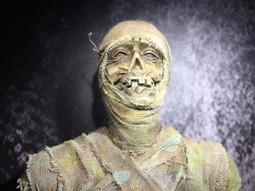 現貨 1/6 CCN6013 性感 女僕裝女傭服套裝套 適合包膠女素體 歷史價格詳細信息